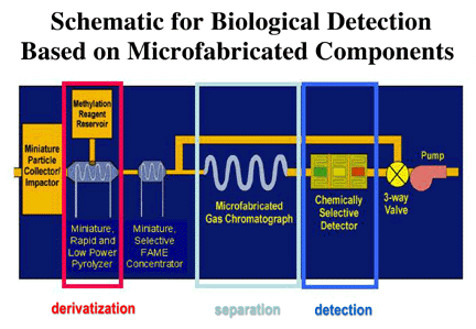 detector schematic