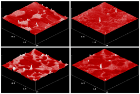 Series of atomic force microscope topographic images