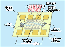 [Schematic of SAW]