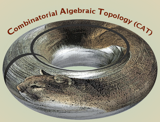 Summary of the CSRI Workshop on Combinatorial Algebraic Topology (CAT): Software, Applications, & Algorithms