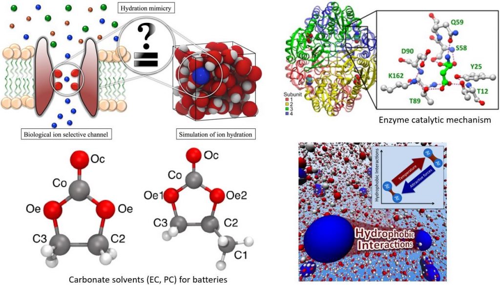 Graphic of Susan Rempe's research (ion selective channel, ion hydration, enzyme catalytic mechanism, carbonate solvents for batteried, hydrophobic interactions)