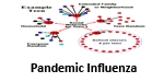 Image of pandemic_t