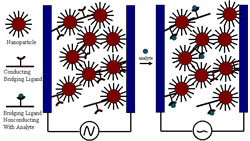 Image of chnano1-2