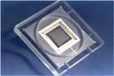 Image of chpoly-2