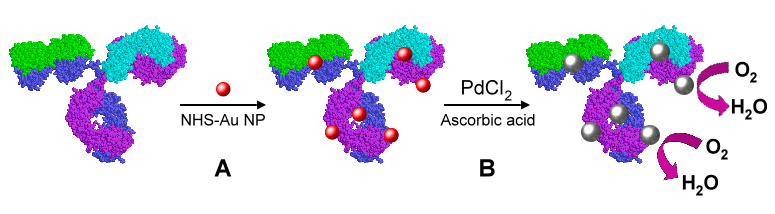 Image of nanoparticle2-2