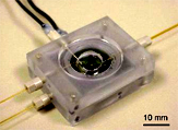 Figure 2: Electrofluidic platform for impedimetric interrogation of single cells.