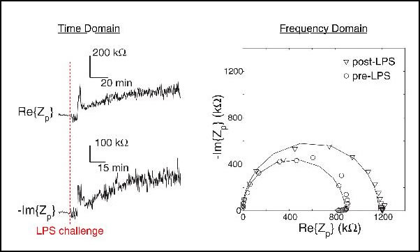 Image of optical_monitoring2-2