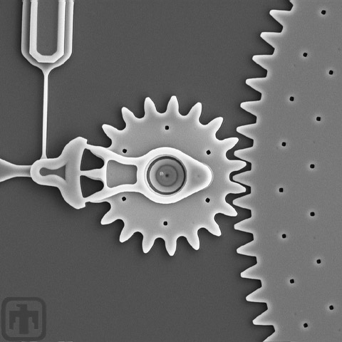 This drive gear rotates a gear that is about ten times larger in