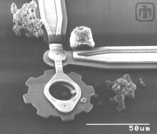 Drive gear chain and linkages, with a grain of pollen (top right) and coagulated red blood cells (lower right, top left) to demonstrate scale