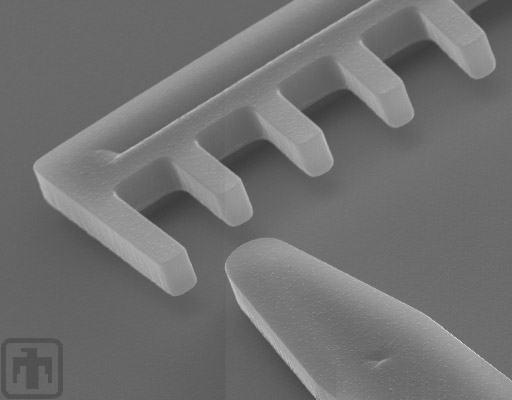 Close-up view of one vernier; the teeth are 2 microns wide and the spaces between them measure 4 microns.