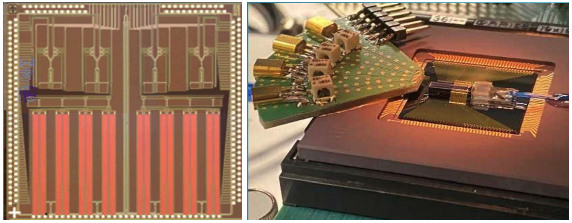 Multi-wavelength quantum photonic chip for quantum sensing