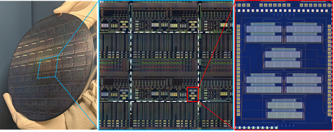Quantum Integrated Photonic Circuits on an 8” Si platform