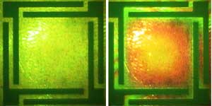 Nanoscale and microscale integration