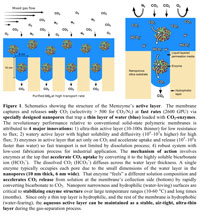 CO2 Memzyme 2015