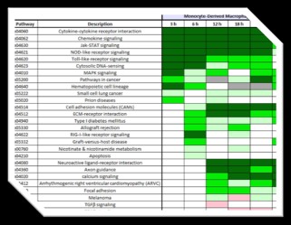 Burkholderia spp. Infections