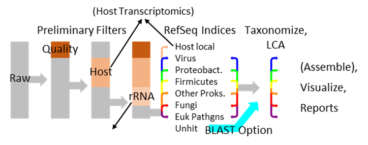 bioinformatics process schematic