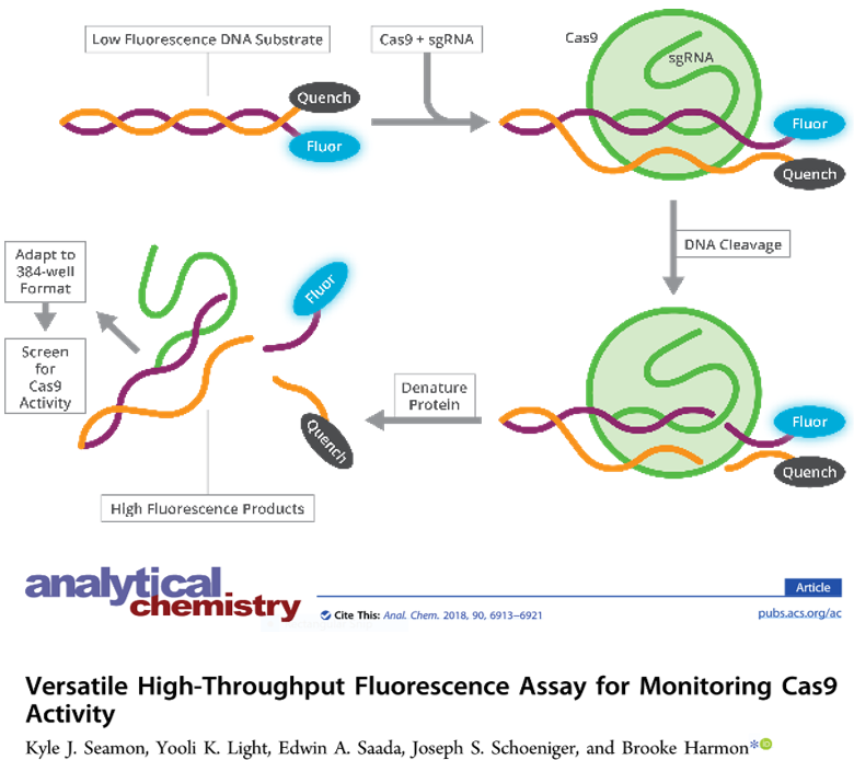 Versatile High-Throughput Fluorescence Assay for Monitoring Cas9 Activity