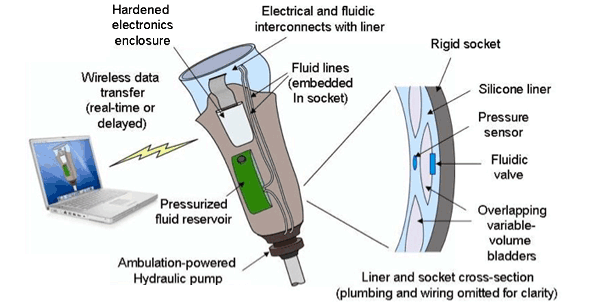 Dynamic Socket