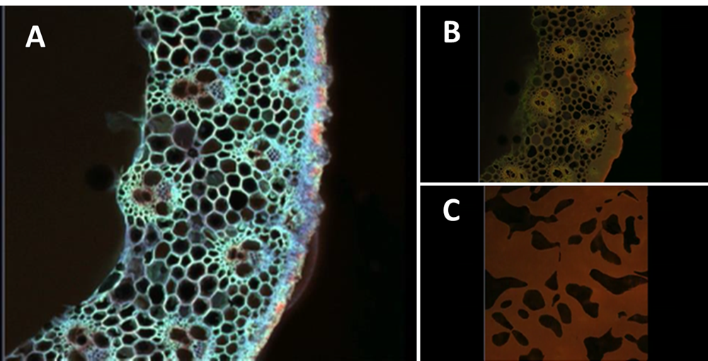 ionic liquids images