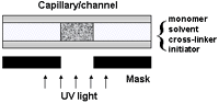 Microfluidic capillary