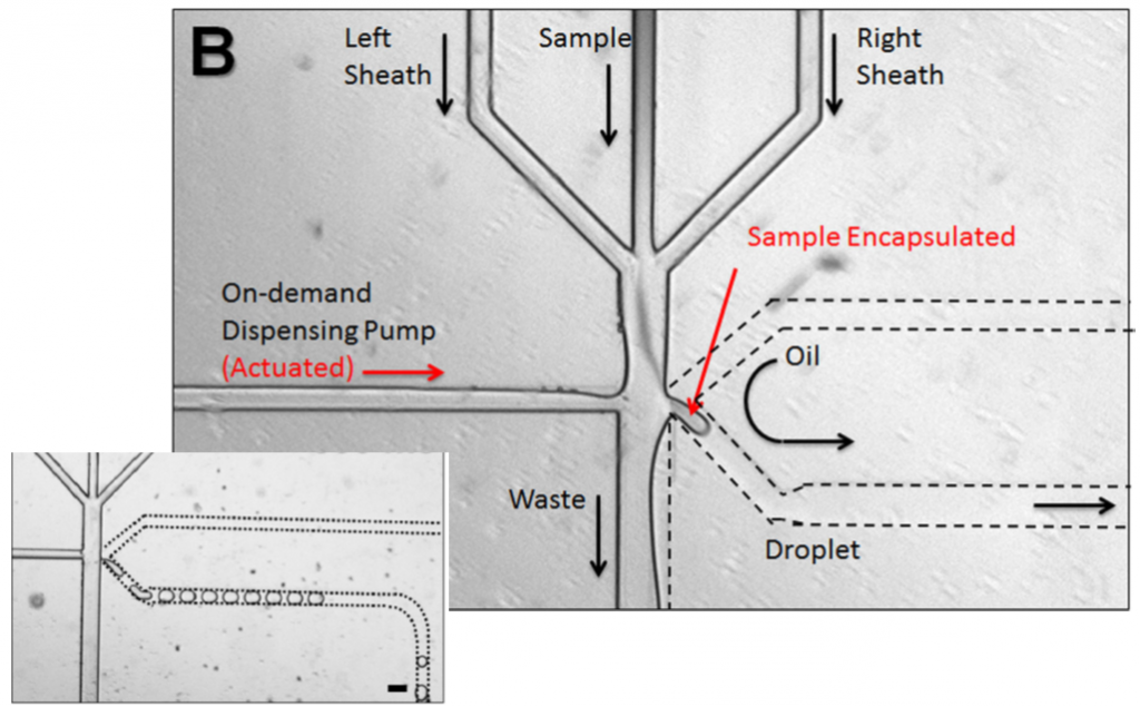 microfluidic system