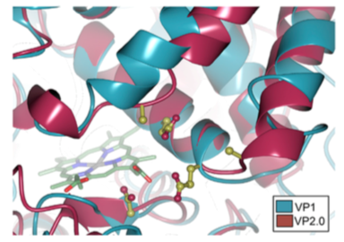 molecular dynamics illustration