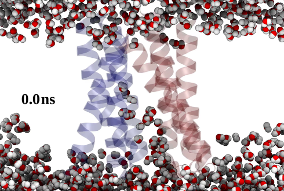 molecular simulations illustration