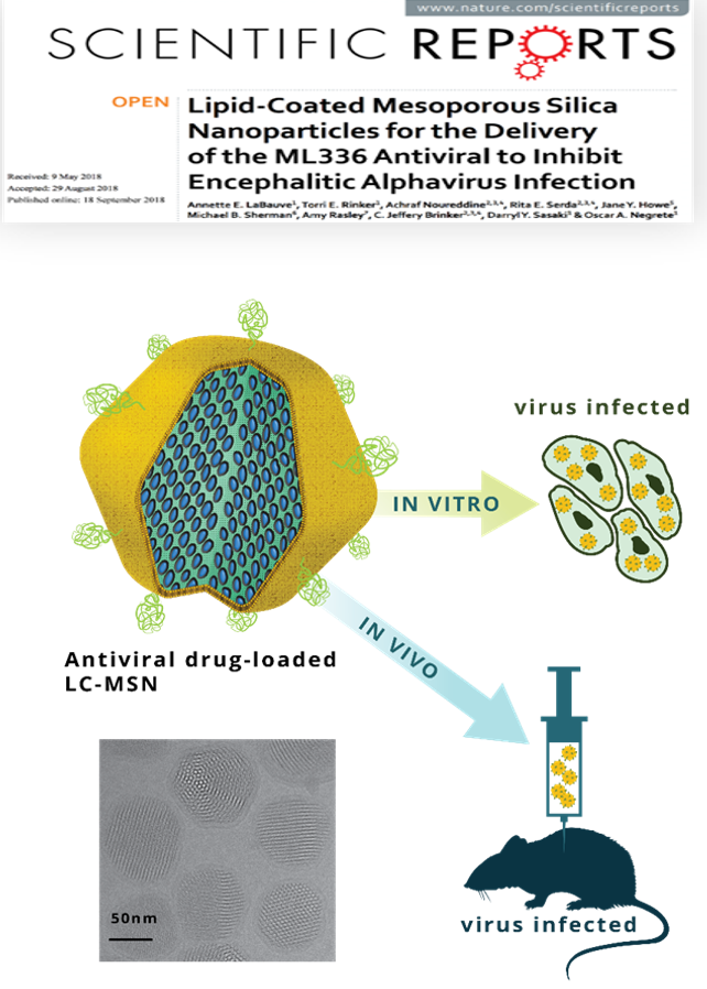 nanoparticles for the delivery of an antiviral used to inhibit Encephalitic Alphavirus Infection