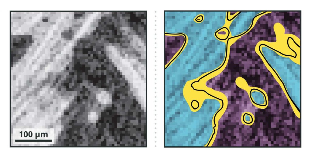 IMAGE SEGMENTED — An illustration used by Sandia researchers to show the uncertainty of drawing boundaries in scanned images used for high-consequence computer simulations. The gray-scale image on the left is a scan of material used as a thermal barrier. The illustrated image on the right shows the material segmented into two classes (blue and purple). The black lines show one possible interface boundary between the two classes of material. The yellow region depicts the segmentation uncertainty, meaning the black lines could be drawn anywhere within that area and still be valid. (Graphic by Sandia)