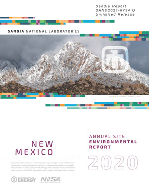 cover of 2020 annual site environmental report