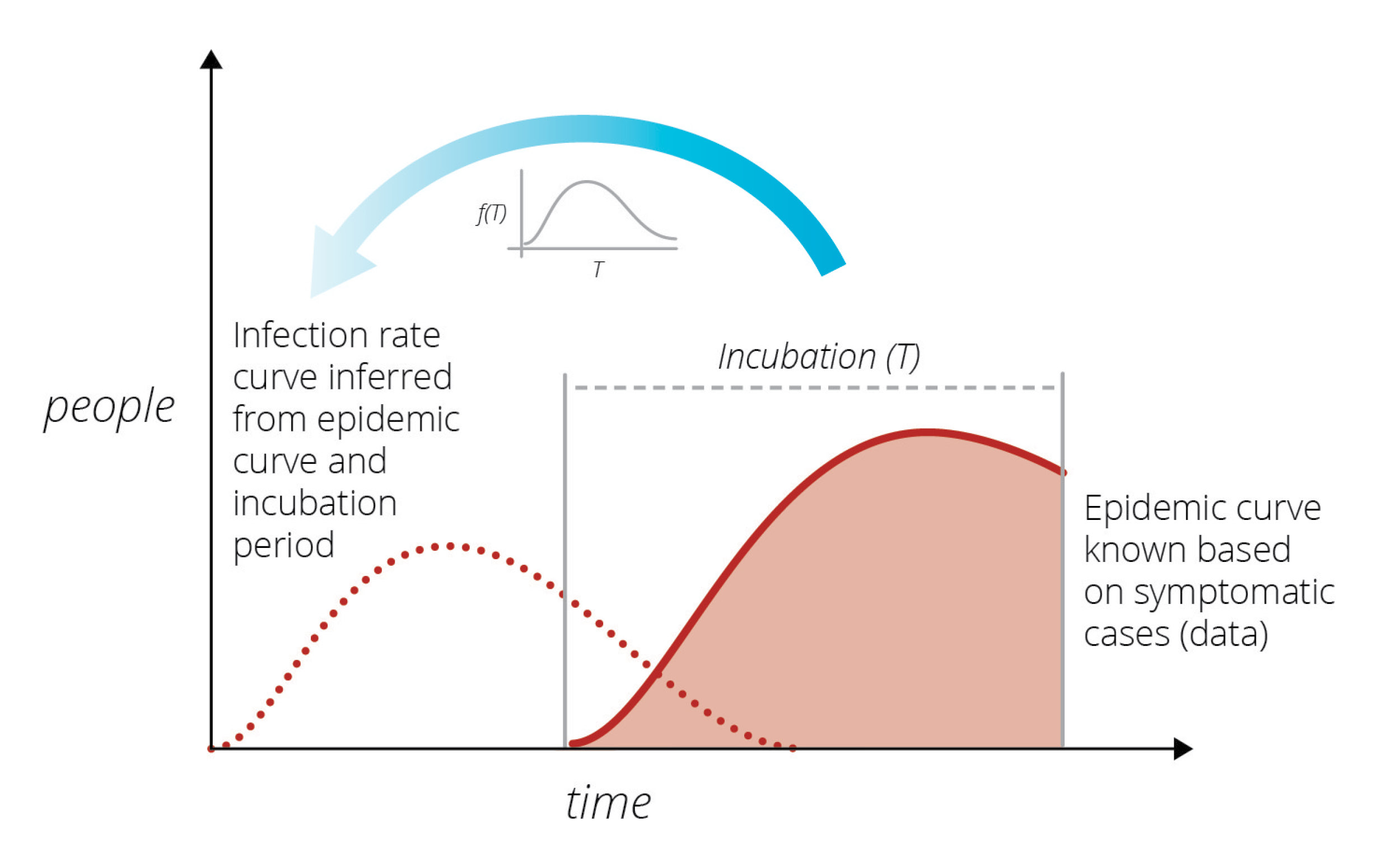 graph of infection curve