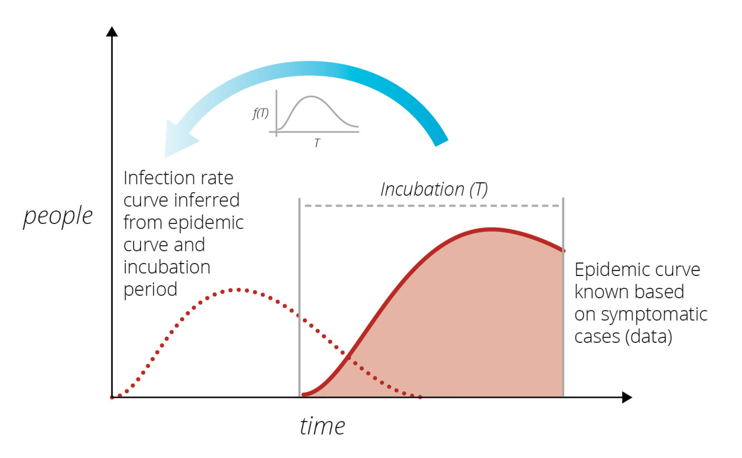 graph of infection curve