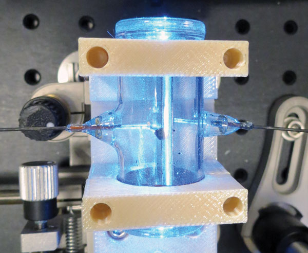 Rb vapor cell with laser beams passing through