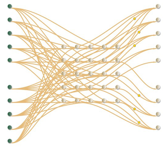 graphic of neural network inputs and outputs