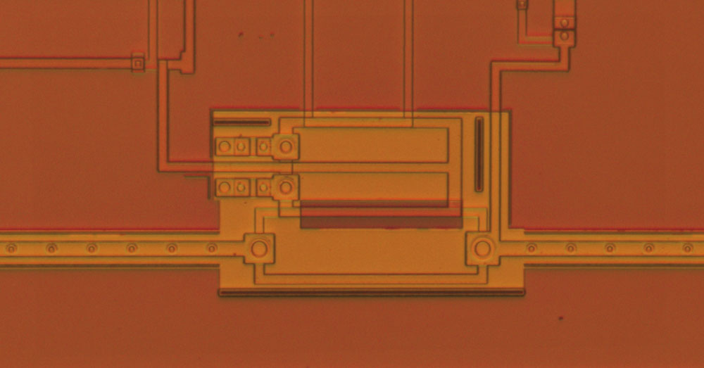 Image of p33-fig3RM-cell-6_1000