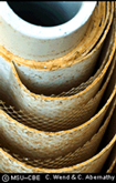 Fouled Membrane