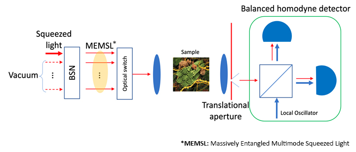 Schematic of quantum super-resolution imaging