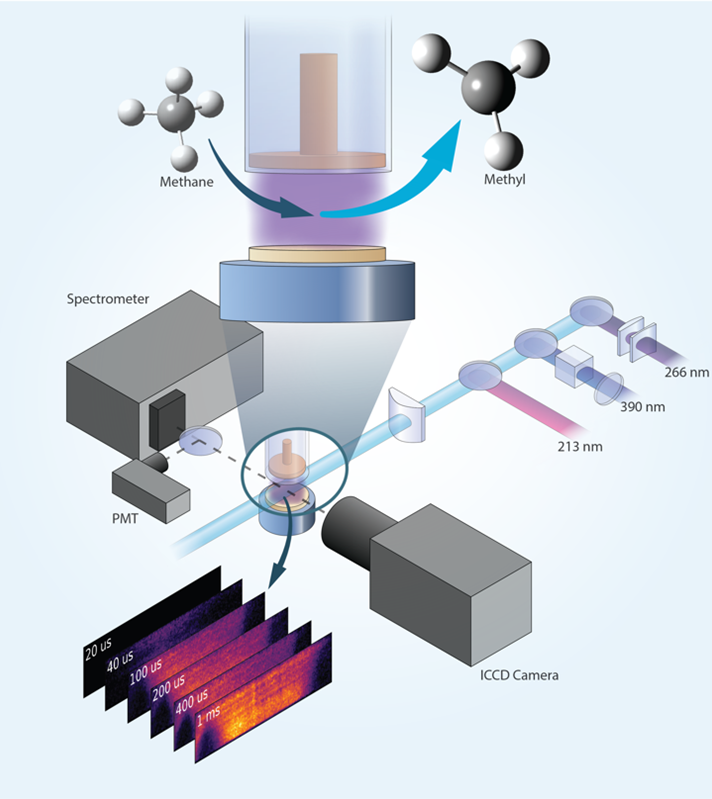 <!-- wp:heading --> <h2>Biography</h2> <!-- /wp:heading -->  <!-- wp:paragraph --> <p>Tim Zwier joined Sandia National Laboratories’ Combustion Research Facility (CRF) in January 2020 after spending much of his independent research career in academia. Zwier had served as PhD research advisor for more than 40 graduate students and about a dozen post-doctoral research associates. His research interests span the areas of large-molecule spectroscopy and chemical dynamics. With other Gas Phase Chemical Physics program (GPCP) staff at Sandia, he is developing and using modern tools of gas-phase chemical physics to probe the spectroscopy and dynamics of molecules that can undergo conformational isomerization, structural isomerization, and/or chemical reaction on complex potential energy surfaces.</p> <!-- /wp:paragraph -->  <!-- wp:heading {"level":3} --> <h3>Current Research</h3> <!-- /wp:heading -->  <!-- wp:paragraph --> <p>We prepare and study molecules under state-resolved conditions to gain insight to their structures, relative energies, interconversion, and reaction at the highest levels of detail and quantitative accuracy. Double resonance measurements involving microwave, infrared, and ultraviolet spectra of individual isomers serve as a foundation for pump-probe experiments following selective electronic or infrared excitation of individual isomers. </p> <!-- /wp:paragraph -->  <!-- wp:image {"id":431,"sizeSlug":"full","linkDestination":"none","className":"is-style-default"} --> <figure class="wp-block-image size-full is-style-default"><img src="https://www.sandia.gov/app/uploads/sites/248/2023/08/tim-project-img1.png" alt="" class="wp-image-431"/><figcaption>Multi-stage Mass Spectrometer used to study the infrared and ultraviolet spectroscopy and photochemistry of cryo-cooled, gas-phase ions. </figcaption></figure> <!-- /wp:image -->  <!-- wp:paragraph --> <p>Our GPCP CRF research group uses a broadband chirped-pulse Fourier transform microwave (CP-FTMW) spectrometer that is also outfitted for photoionization time-of-flight mass spectrometry (TOFMS), to optimize conditions for production of specific reactive intermediates in the TOFMS before recording spectra under those conditions. We are also developing a cryo-cooled buffer gas cell as an alternative means of studying reactive intermediates.  Studies of the infrared and ultraviolet spectroscopy of large molecular ions and complexes are carried out in a versatile, multi-stage mass spectrometer that incorporates a cryo-cooled ion trap. Single-conformation IR and UV spectra are recorded using IR-UV double resonance photofragment spectroscopy.</p> <!-- /wp:paragraph -->  <!-- wp:image {"id":550,"sizeSlug":"full","linkDestination":"none"} --> <figure class="wp-block-image size-full"><img src="https://www.sandia.gov/app/uploads/sites/248/2023/08/tim-project-image2.1.png" alt="" class="wp-image-550"/><figcaption>Chirped-pulse Fourier Transform Microwave (CP-FTMW) instrument used to record rotational spectra of reactive intermediates in the gas phase. The vacuum chamber also incorporates a time-of-flight mass spectrometer that can be used with vacuum ultraviolet photoionization to measure mass spectra of the reactive mixture. (Left) Schematic diagram of the microwave electronics, and (right) photograph of the vacuum chamber and associated electronics. </figcaption></figure> <!-- /wp:image -->  <!-- wp:image {"align":"center","id":434,"sizeSlug":"full","linkDestination":"none"} --> <div class="wp-block-image"><figure class="aligncenter size-full"><img src="https://www.sandia.gov/app/uploads/sites/248/2023/08/tim-proj-img3.png" alt="" class="wp-image-434"/></figure></div> <!-- /wp:image -->  <!-- wp:heading {"level":3} --> <h3>Research Interests</h3> <!-- /wp:heading -->  <!-- wp:paragraph --> <p>Gas phase molecular spectroscopy, chemical dynamics, conformational isomerization, multi-chromophore molecules, excited state spectroscopy and photochemistry, structural characterization of free radicals and reactive intermediates, studies of ions in molecular cavities, and atmospheric sulfur oxidation chemistry. <a href="https://scholar.google.com/citations?user=LVSrNXEAAAAJ&hl=en">Google Scholar</a></p> <!-- /wp:paragraph -->  <!-- wp:heading --> <h2>Professional Organizations & Leadership</h2> <!-- /wp:heading -->  <!-- wp:list --> <ul><li><strong>Purdue University</strong><ul><li>M.G. Mellon Distinguished Professor of Chemistry: 2007 to 2018</li><li>Department Head, Department of Chemistry: 2013 to 2017</li><li>Department Head, Department of Chemistry: 2004 to 2008</li><li>Professor of Chemistry: 1997 to 2006</li><li>Assistant, Associate Professor of Chemistry: 1983 to 1997</li></ul></li><li><strong>Calvin College</strong><ul><li>Assistant Professor of Chemistry: 1983 to 1988</li></ul></li><li> <strong>The Journal of Physical Chemistry Letters</strong><ul><li>Senior Editor: 2010 to 2019</li><li>Senior Editor: 2003 to 2009</li></ul></li><li><strong>American Physical Society</strong><ul><li>Chair, Division of Chemical Physics</li></ul></li></ul> <!-- /wp:list -->  <!-- wp:heading --> <h2>Awards</h2> <!-- /wp:heading -->  <!-- wp:table {"className":"is-style-stripes"} --> <figure class="wp-block-table is-style-stripes"><table><thead><tr><th>Award</th><th>Year</th></tr></thead><tbody><tr><td>Humboldt Research Award, Alexander von Humboldt Foundation</td><td>2017</td></tr><tr><td>American Association for the Advancement of Science Fellow</td><td>2016</td></tr><tr><td>Arthur E. Kelly Award for Outstanding Teaching</td><td>2014</td></tr><tr><td>American Chemical Society Fellow</td><td>2010</td></tr><tr><td>Earle K. Plyler Prize in Molecular Spectroscopy, APS</td><td>2007</td></tr><tr><td>Purdue University Faculty Scholar</td><td>1999 - 2004</td></tr><tr><td>American Physical Society Fellow</td><td>2000</td></tr><tr><td>Alfred P. Sloan Research Fellow</td><td>1989 - 1991</td></tr></tbody></table></figure> <!-- /wp:table -->  <!-- wp:heading --> <h2>Featured Publication</h2> <!-- /wp:heading -->  <!-- wp:paragraph {"align":"left","dropCap":true,"className":"has-background","fontSize":"20px"} --> <p class="has-drop-cap has-text-align-left has-background has-20-px-font-size"><a href="https://pubs.acs.org/doi/10.1021/acs.jpca.3c03457"><strong>Molecular Cage Reports on Its Contents: Spectroscopic Signatures of Cryo-Cooled K<sup>+</sup>- and Ba<sup>2+</sup>-Benzocryptand Complexes</strong></a></p> <!-- /wp:paragraph -->  <!-- wp:group --> <div class="wp-block-group"><!-- wp:paragraph --> <p>Casey D. Foley, Cole D. Allen, Kendrew Au, Chin Lee, Susan B. Rempe, Pengyu Ren, Edwin L. Sibert III<em>, and Timothy S. Zwier</em></p> <!-- /wp:paragraph -->  <!-- wp:paragraph --> <p><em>The Journal of Physical Chemistry A</em> 2023, 127, 30, 6227-6240 <strong>(A: Structure, Spectroscopy, and Reactivity of Molecules and Clusters)</strong></p> <!-- /wp:paragraph -->  <!-- wp:paragraph --> <p><strong>Publication Date (Web): </strong>July 21, 2023</p> <!-- /wp:paragraph -->  <!-- wp:paragraph --> <p><strong>DOI: </strong>10.1021/acs.jpca.3c03457</p> <!-- /wp:paragraph --></div> <!-- /wp:group -->  <!-- wp:spacer {"height":"10px"} --> <div style="height:10px" aria-hidden="true" class="wp-block-spacer"></div> <!-- /wp:spacer -->  <!-- wp:heading --> <h2>Publications</h2> <!-- /wp:heading -->  <!-- wp:snl-blocks/publications {"selectedAuthors":["Timothy Zwier (8353) #119259"]} /-->