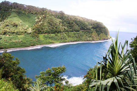 ocean view from tropical terrain