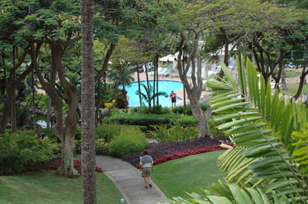 hotel grounds with palm trees, grass and pool