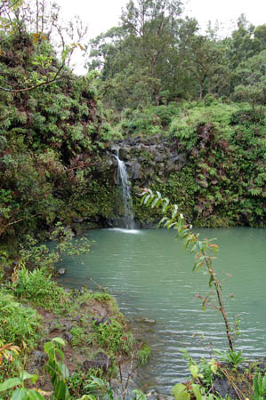 waterfall and lagoon surrounded by green foliage