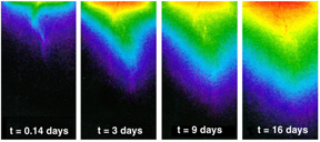 Diffusion of potassium iodide into dolomite