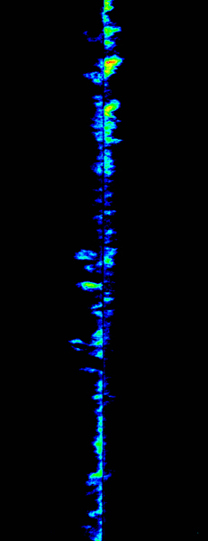 Matrix diffusion of 10% by weight KI solution into a slot fracture flowing with deionized water.