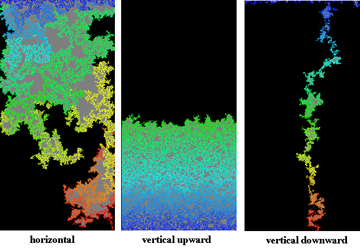 MIP Model with gravity