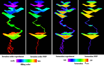 MIP modeling of processed data.