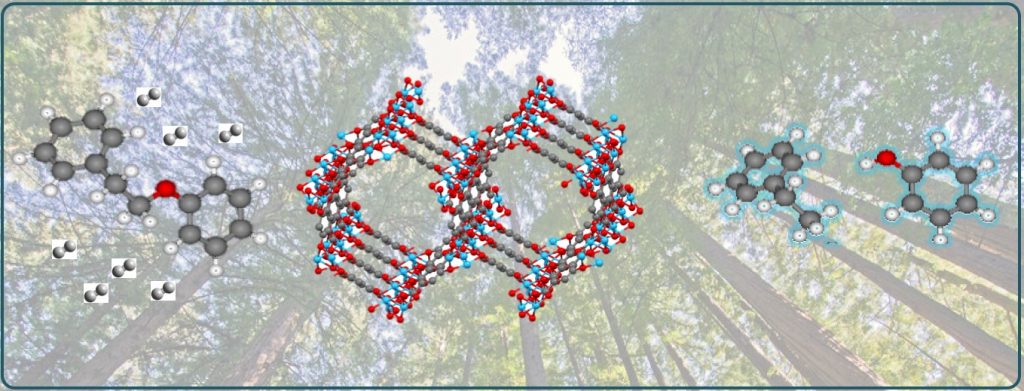 Atom structures floating in a forest