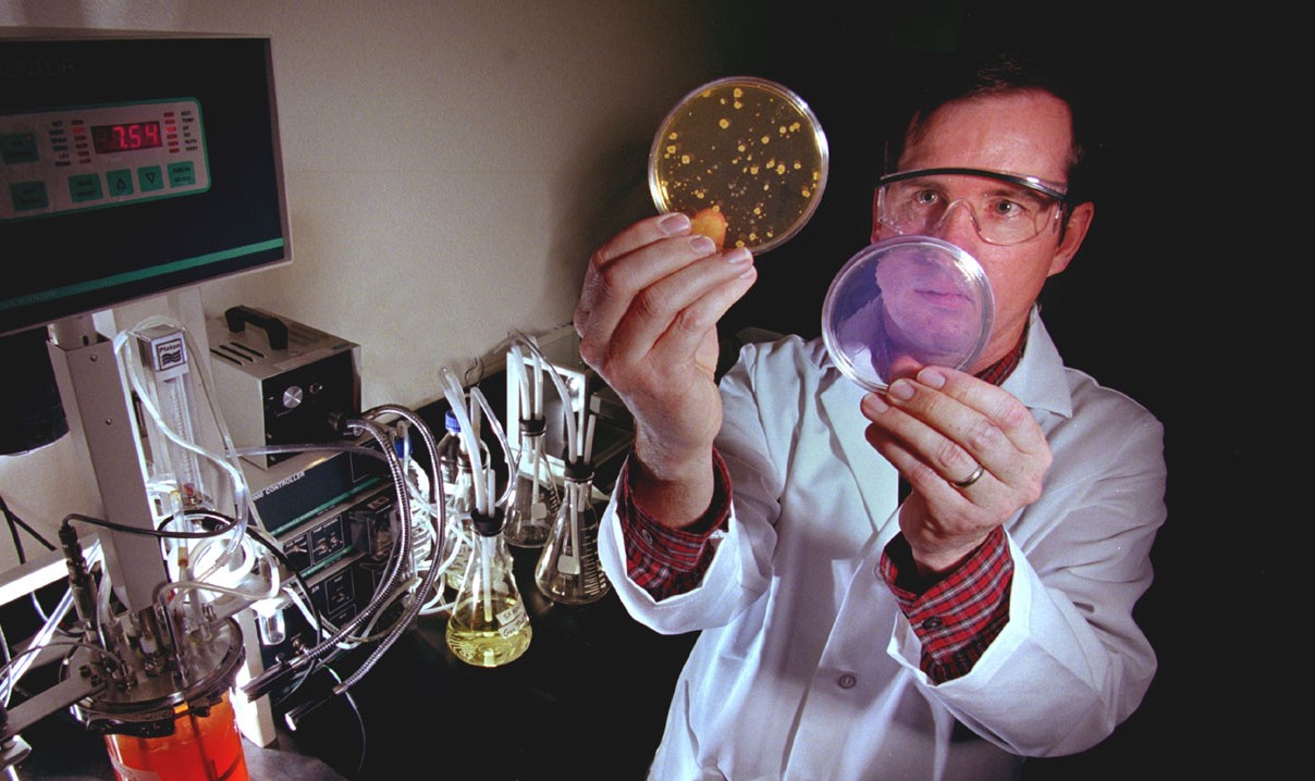 Scientist examing anthrax samples