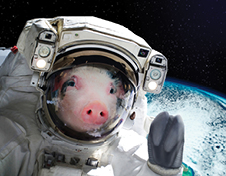 Image of a pig in an astronaut suit hovering over earth