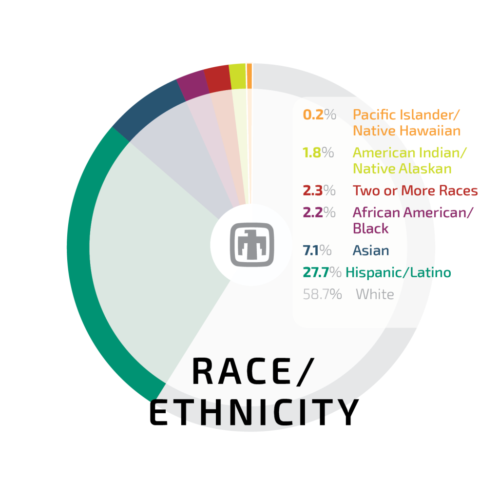 Race/ethnicity chart