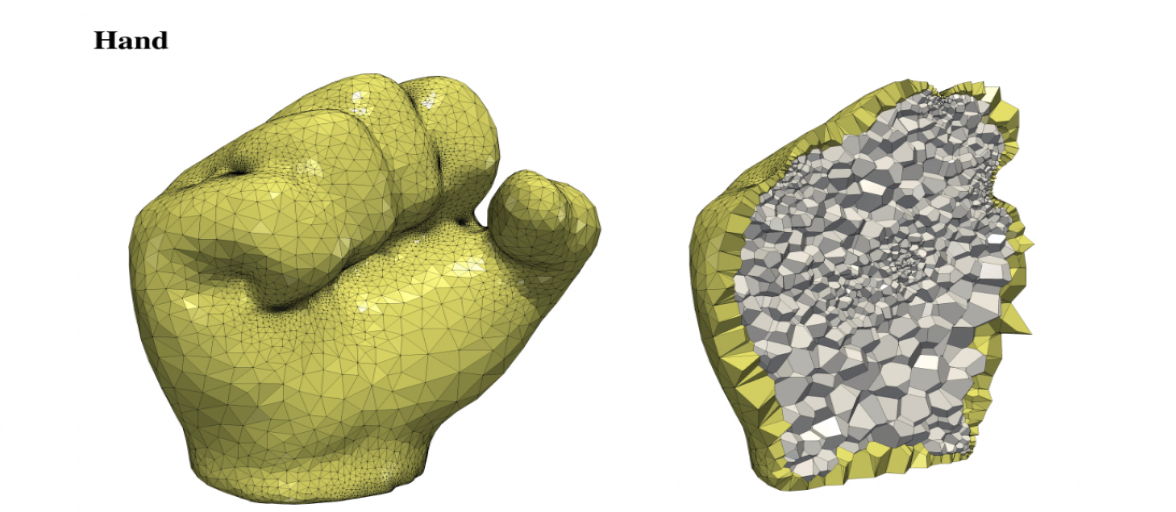 3D Rendering of a closed hand